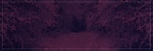Our Christmas Wish Christian Website Banner