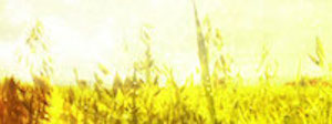 Abstract Fall Worship Triple Wide Motion Loop