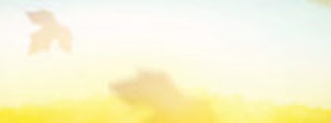 Fall Back Time Worship Multiscreen Motion Loop