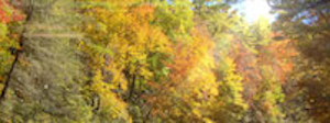 Fall Worship Christian Triple Wide Video