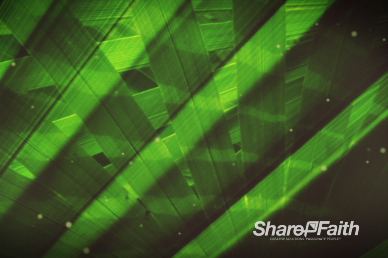 Palm Sunday Ministry Worship Video