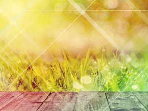 Patio and Green Grass Church Stock Photo