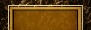 The Rich Fool Ministry Website Banner