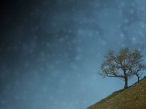 The Heavens Declare Worship Still