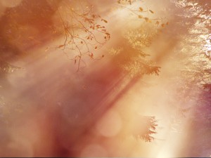 Sun Breaking Through Christian Background