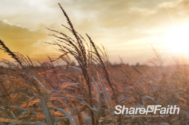 Sunset Field of Worship Video Loop
