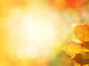 Burst of Harvest Sun Particles Ministry Background