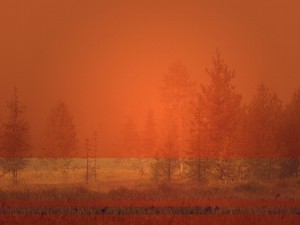 Give Thanks Ministry Background
