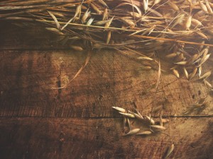 Joy of Harvest Religious Background