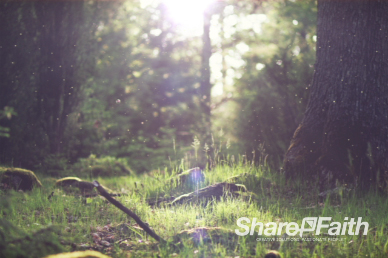 Worship in the Woods Worship Video Loop