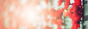 Remembrance Day Church Website Banner