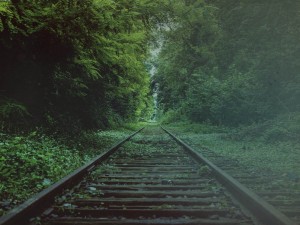 Tracks Through Forest Worship Background