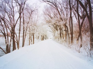 Snowy Path Worship Background