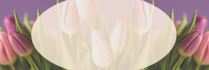 Mother's Day Tulips Religious Web Banner