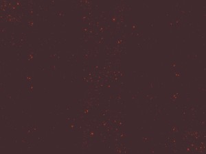 Bonfire Ministry Worship Background