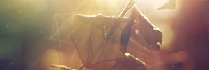 Indescribable Christian Website Banner