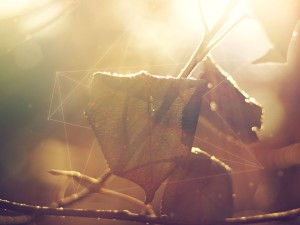 Indescribable Christian Wallpaper Graphic