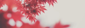 Prayer Service Ministry Website Banner