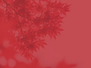 Prayer Service Ministry Wallpaper