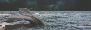 Running From God Church Website Banner