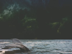 Running From God Church Ministry Background