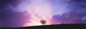 Grace Greater Than We Can Imagine Church Website Banner