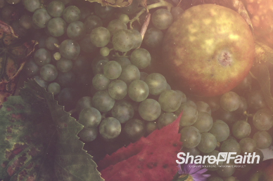 Happy Thanksgiving Fruit Bounty Worship Video Background