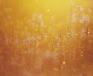 Ruth The Story of Redemption Chrsitian Wallpaper