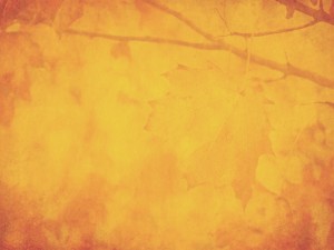 Orange Thanksgiving Fall Worship Background