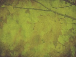Green Thanksgiving Fall Worship Background