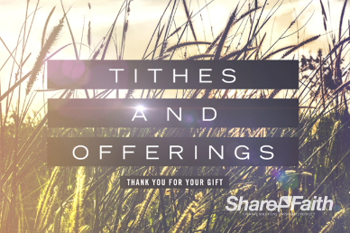 Kingdom of Heaven Wheat Tithes and Offerings Video Loop