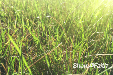Summer Breeze Church Worship Motion Background