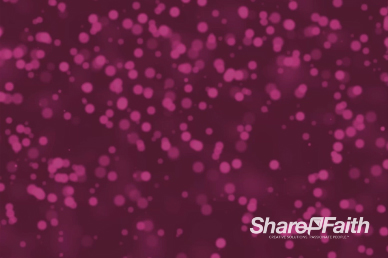 Shimmering Pink Lights Worship Video Background