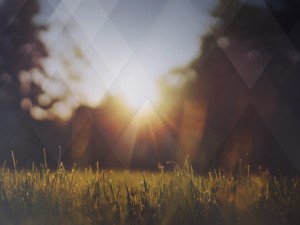 Nature Grass Field Worship Background