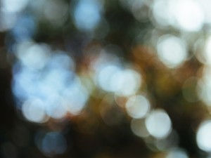 Nature Bokeh Worship Background