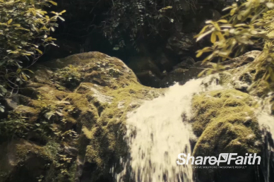 River Waterfall Background Video Loop