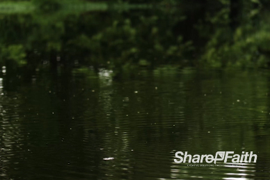 Ripples In The Water Nature Video Loop