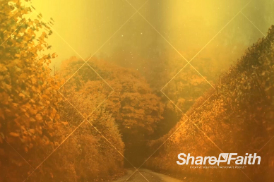 Autumn Lights Worship Video Background