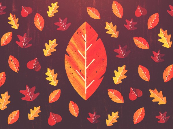 Thanksgiving Leaves Church Worship Background