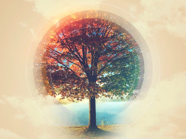 We Are Thankful Fall Worship Background