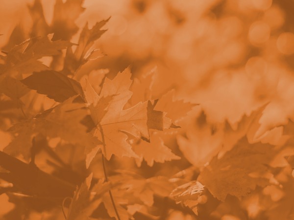 Happy Thanksgiving Wishes Christian Background