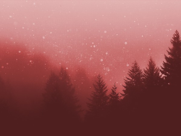 Christmas Forest Christian Background