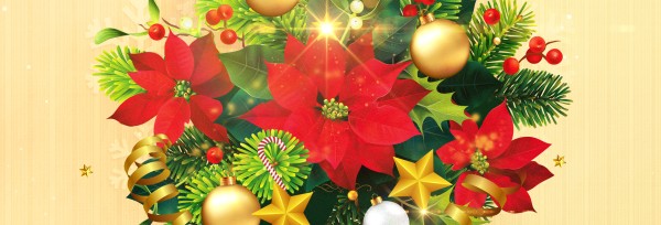 May Your Days Be Merry And Bright Christmas Website Banner