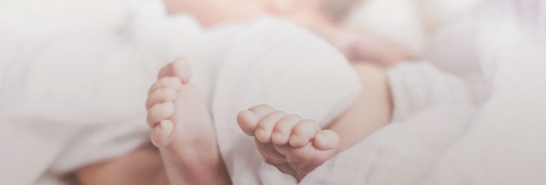 Love Came Down Church Website Banner
