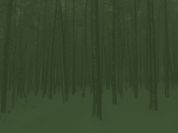 Winter Retreat Forest Church Background