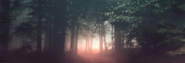 I Will Fear No Evil Church Website Banner