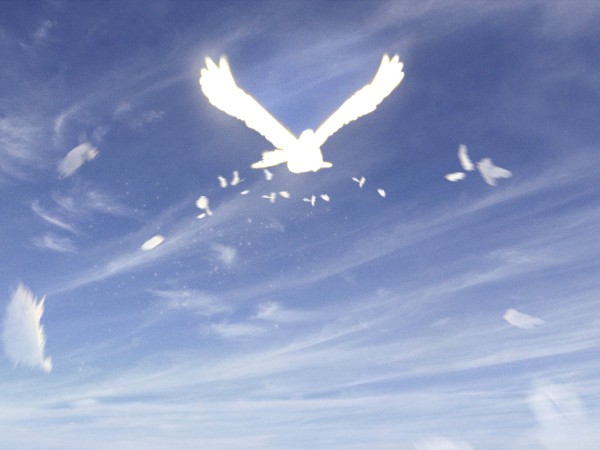 Easter Dove Christian Worship Background
