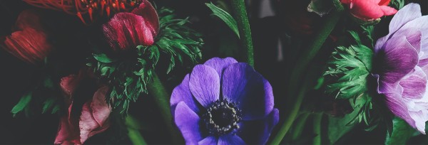Mother's Day Flower Church Website Graphic