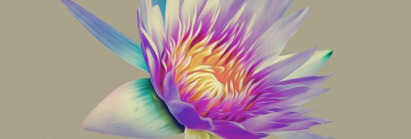 Generosity Lily Church Website Banner