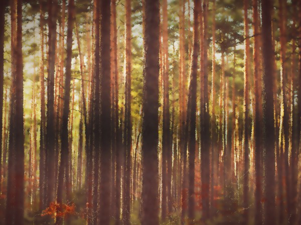 Fall Retreat Painted Trees Worship Background